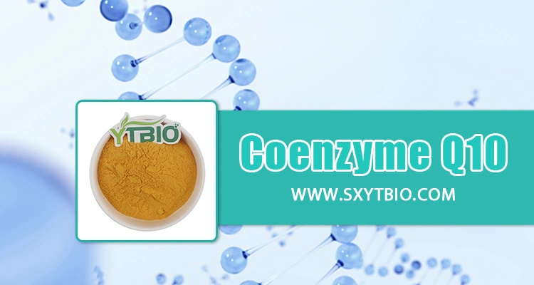 High Purity Coenzyme Q10 Health Dietary Nutritional Supplement