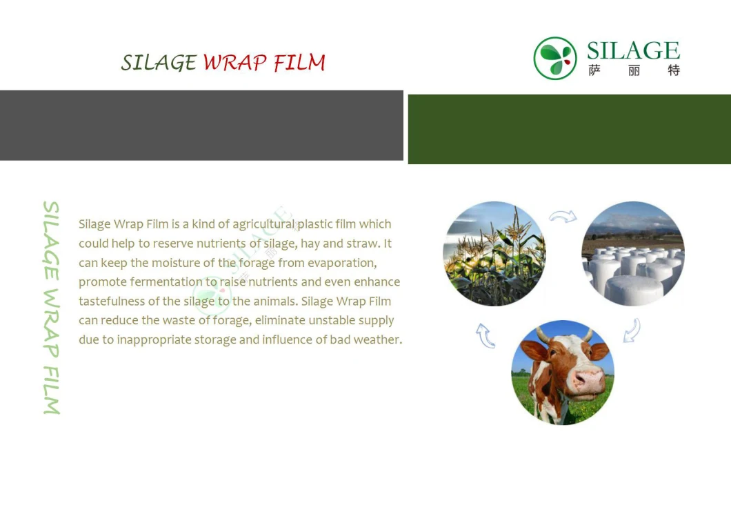 Alfalfa Silage Wrap Film for Packing Ruminant Fodder